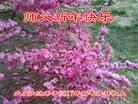 ֹ,󷨵ӹףʦ(18)