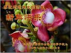 ֹ,ľ˹󷨵ӹףʦ(18)