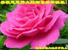 ֹ,ʡ󷨵ӹףʦ(22)