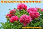 ֹ,ʡ󷨵ӹףʦ(22)