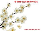 法轮功,石家庄大法弟子恭祝师尊新年好(27条)