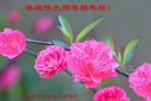ֹ,ʯׯ󷨵ӹףʦ(27)