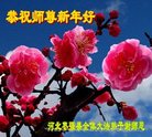 ֹ,ӱ󷨵ӹףʦ(24)