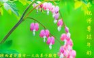 ֹ,󷨵ӹףʦ(19)