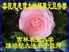 ֹ,󷨵ӹףʦ(23)