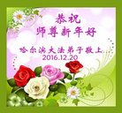 法轮功,哈尔滨大法弟子恭祝师尊新年好(21条)