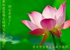 法轮功,湖南大法弟子恭祝师尊新年好(24条)