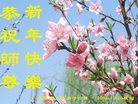 ֹ,󷨵ӹףʦ(23)