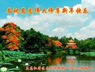 法轮功,佳木斯大法弟子恭祝师尊新年好(21条)