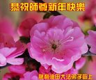 Published on 12/31/2016 ���ֹ�,����ҵ�󷨵��ӹ�ףʦ�������(33��)
