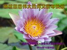 法轮功,重庆大法弟子恭祝师尊新年好(24条)