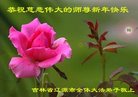 ֹ,ʡ󷨵ӹףʦ(28)