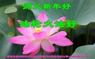 ֹ,󷨵ӹףʦ(21)
