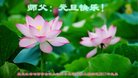 ֹ,󷨵ӹףʦ(21)