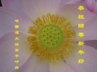 ֹ,󷨵ӹףʦ(21)