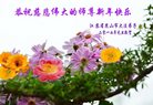 ֹ,մ󷨵ӹףʦ(20)