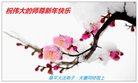 ֹ,󷨵ӹףʦ(23)