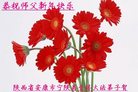 法轮功,陕西大法弟子恭祝师尊新年好(21条)