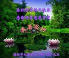 ֹ,󷨵ӹףʦ(21)