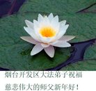 法轮功,山东大法弟子恭祝师尊新年好(31条)