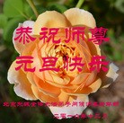 法轮功,北京大法弟子恭祝师尊新年好