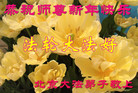ֹ,󷨵ӹףʦ(26)