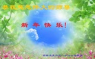 ֹ,ӱ󷨵ӹףʦ(24)