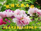 ֹ,ʯׯ󷨵ӹףʦ(26)