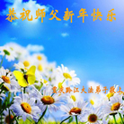 法轮功,重庆大法弟子恭祝师尊新年好(29条)