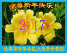 ֹ,󷨵ӹףʦ(22)