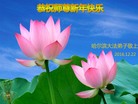 ֹ,󷨵ӹףʦ(24)