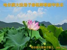 ֹ,󷨵ӹףʦ(24)