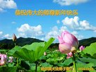 ֹ,󷨵ӹףʦ(21)