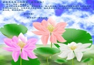 ֹ,ɳ󷨵ӹףʦ(23)