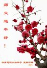 法轮功,云南大法弟子恭祝师尊新年好(18条)