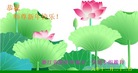 ֹ,㽭󷨵ӹףʦ(27)
