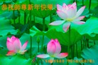 ֹ,㶫󷨵ӹףʦ(27)