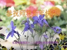 ֹ,󷨵ӹףʦ(22)
