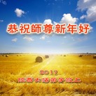 法轮功,陕西大法弟子恭祝师尊新年好(21条)
