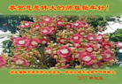 ֹ,󷨵ӹףʦ(23)
