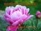 ֹ,ӱ󷨵ӹףʦ(21)