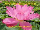 ֹ,ӱ󷨵ӹףʦ(21)