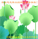 法轮功,河南大法弟子恭祝师尊新年好(25条)