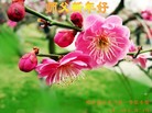 ֹ,󷨵ӹףʦ(22)
