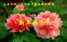 法轮功,山西大法弟子恭祝师尊新年好(21条)