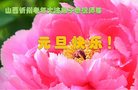 法轮功,山西大法弟子恭祝师尊新年好(21条)