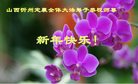 法轮功,山西大法弟子恭祝师尊新年好(21条)