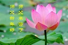 ֹ,󷨵ӹףʦ(22)