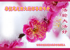 ֹ,д󷨵ӹףʦ(22)