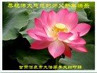 ֹ,󷨵ӹףʦ(28)
